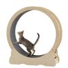 Cat Exercise Wheel - Indoor Cat Treadmill with Carpeted Running Track, Safety Cat Treadmill with Latch, Weighted Wheel for Cats, Add Fun to Cat Exerci